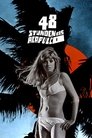 Watch| 48 Hours To Acapulco Full Movie Online (1967)