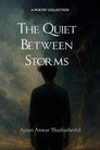 The Quiet Between Storms