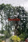 Serein