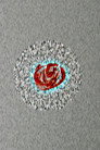 Glimpse of a Brain