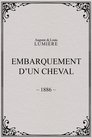 Embarquement d’un cheval