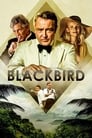 Poster van Blackbird