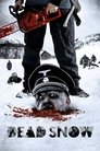 Dead Snow poster