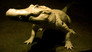 Louisiana
