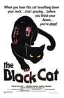 The Black Cat