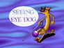 Seeing Eye Dog