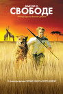 Постер: Мысли о свободе