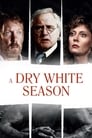 Poster van A Dry White Season