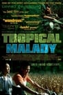 Poster for Tropical Malady