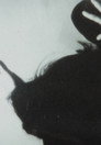 Prologue/Epilogue