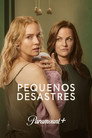 Image Pequenos Desastres