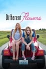 Poster van Different Flowers