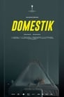 Domestik