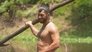 Amazon Pain Forest