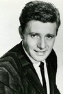 Harry Guardino isLt. Al Bressler