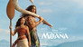 2026 - Moana thumb