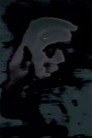 Pictures of the Lost