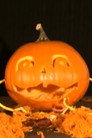 Halloween Awakening