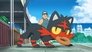 Image Pokémon