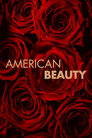 American Beauty