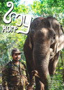 Plakat for 'My Home'