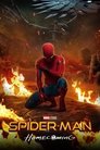 2-Spider-Man: Homecoming