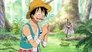 Image One Piece