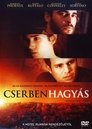 Cserbenhagyás (2007) Teljes Film Magyarul Az Egész Felirat VideA