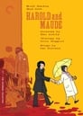 7-Harold and Maude