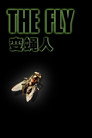 变蝇人