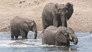 Limpopo River