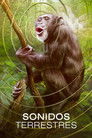 Poster de Sonidos terrestres