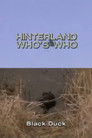 Hinterland Who's Who: Black Duck