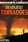 Deadliest Tornadoes