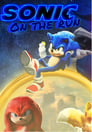 Sonic: On The Run