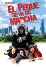 Image Cuidado bebé Suelto