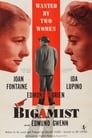 Poster for The Bigamist