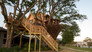 Birds Nest