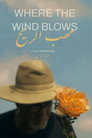 Where the Wind Blows
