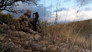 Stalking the Grey Ghost: Arizona Coues Whitetail Deer