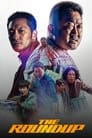 The Roundup (2022) Dual Audio [Hindi & Korean] Full Movie Download | WEB-DL 480p 720p 1080p