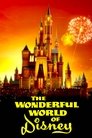 The Wonderful World of Disney Episode Rating Graph poster