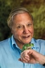 David Attenborough isNarrator (voice)