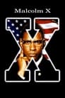 Malcolm X poster