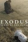 Burnt by the Sun 2: Exodus