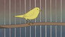 I Want to Fly