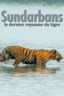 Sundarbans, le dernier royaume du tigre