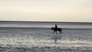 Estuaries