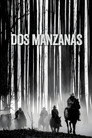 Dos manzanas