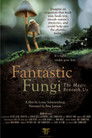 Постер: Fantastic Fungi